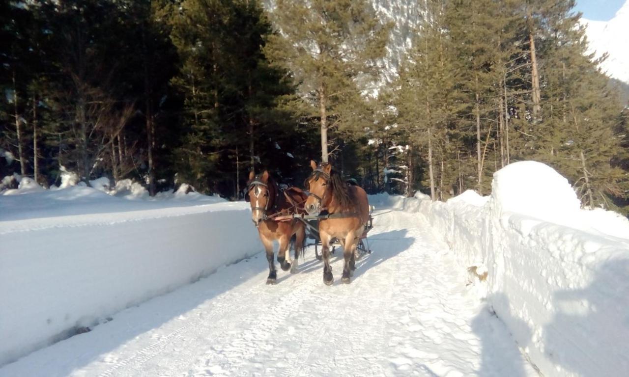 Gasthof Risserhof Шарніц Екстер'єр фото